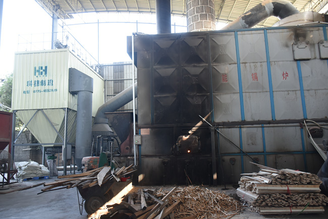  贵港市伟创木业有限公司生物质锅炉除尘系统